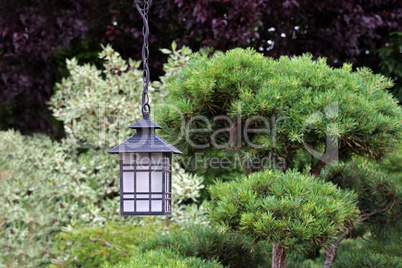 Beautiful street lamp in the garden close up
