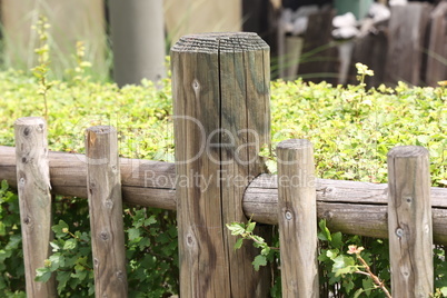 Gray wooden fence close up in the park