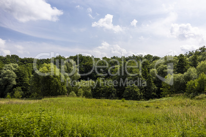 Trittau - view to the nature reserve Hahnheide