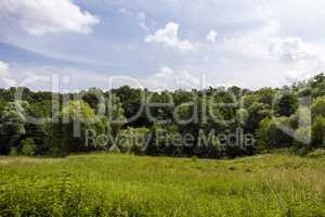 Trittau - view to the nature reserve Hahnheide