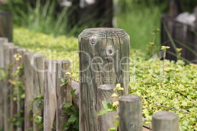 Gray wooden fence close up in the park