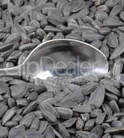 sunflower seeds background and teaspoon