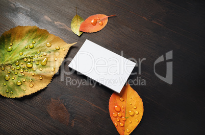 Business card, autumn leaves