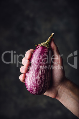 Purple eggplant in hand