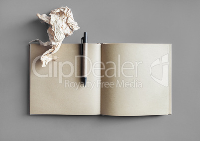Brochure, pen, crumpled paper