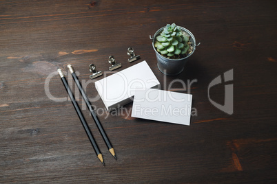 Business cards, pencils, plant