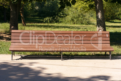 bench  in park at dry sunny summer day