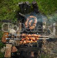 Barbeque meat and sausages or bratwurst on a grill grate in backyard. Man preparing shashlik or shish kebab over charcoal. Grilled meat on metal skewer outdoor. BBQ party or picnic food. Close up shot