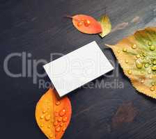 Blank business card, leaves