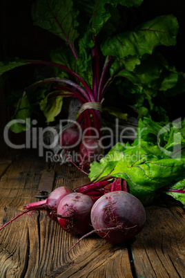 Botwina, Rustic Young Beetroot
