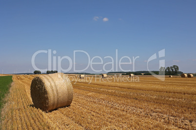 Harvested field with several rolled hay bales in Summer