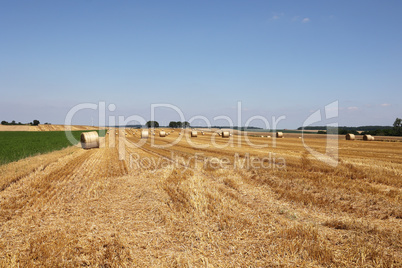 Harvested field with several rolled hay bales in Summer