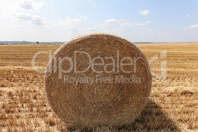 Harvested field with several rolled hay bales in Summer