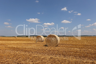 Harvested field with several rolled hay bales in Summer