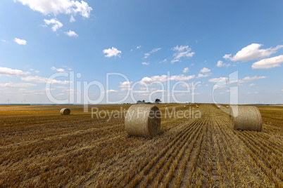 Harvested field with several rolled hay bales in Summer