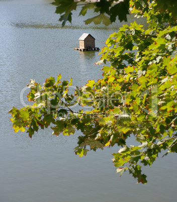 summer in city park at dry sunny day