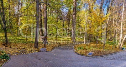 Alleys in the Sofiyivsky arboretum. Uman, Ukraine