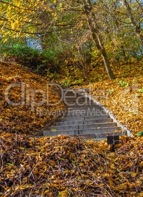 Alleys in the Sofiyivsky arboretum. Uman, Ukraine