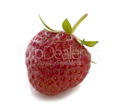 Ripe strawberries isolated on white background. Full focus of red berries.
