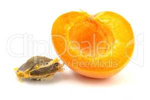 Half of apricot and stone isolated on white background close up.