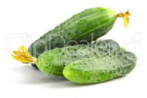 Fresh prickly cucumbers isolated on white background.