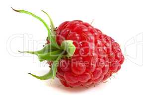 Fresh ripe raspberries with a stalk close up isolated on white b