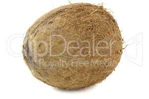 Coconut isolated on white background close up.