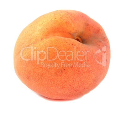 Ripe apricot isolated on white background. Fruit close up full focus.