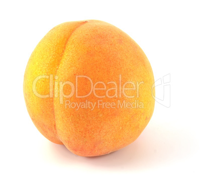 Ripe apricot isolated on white background. Fruit close up full focus.