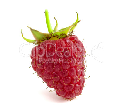 Raspberries isolated on white background. Berry with peduncle cl