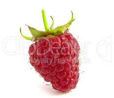 Raspberries isolated on white background. Berry with peduncle cl