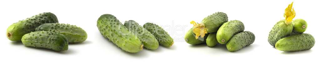 Collection of four photos of fresh cucumbers isolated on white background. Green gherkins collage.