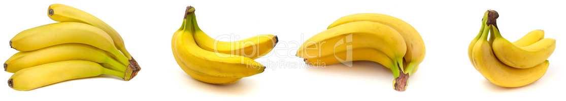 Collection set of photo bananas isolated on white background.
