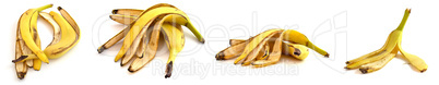 Collection of banana peels isolated on white background. Set of close-up photos of organic waste.