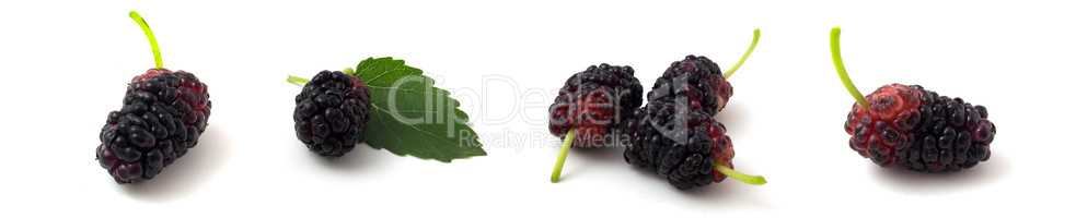 Set of 4 photos of mulberry isolated on white background close up.