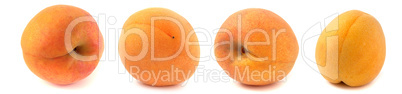 4 apricots from different angles isolated on white background close up, set of four photos.