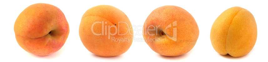 4 apricots from different angles isolated on white background close up, set of four photos.