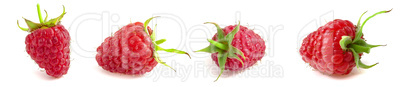 Set of raspberries berries isolated on white background close-up.