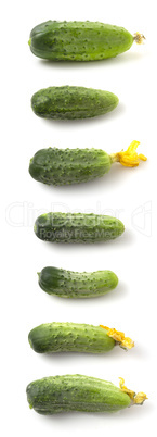 Collection of young green cucumbers isolated on white background. Set of several photos of fresh gherkin.