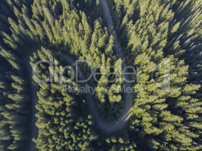 Aerial view over mountain road going through forest landscape.