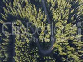 Aerial view over mountain road going through forest landscape.