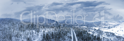 Panorama of snow-covered Christmas trees on the slopes of the mountains.