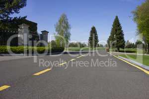 The road leading to the park. Asphalted path for cyclists and pedestrians. Beautiful landscape of the spring park.