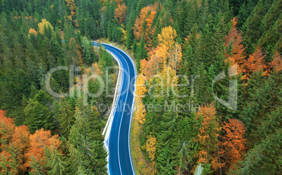 Aerial view of road in beautiful green forest at autumn sunset.