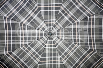 umbrella fabric