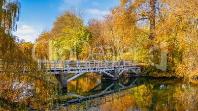 Sofiyivsky arboretum on a sunny autumn day. Uman, Ukraine