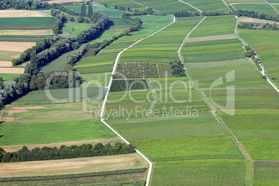 Weinberge und Felder in der Südpfalz
