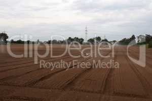 Irrigation of a vegetable field - Rhineland-Palatinate, Germany.