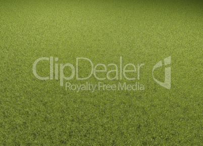 A green lawn with text free space as a sports field background