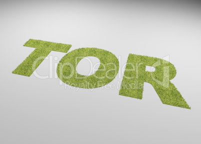 The German word goal with a lawn texture on a white background